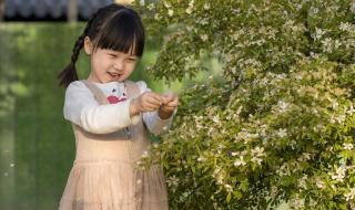 世界童装品牌排行榜 中国十大童装品牌是哪些